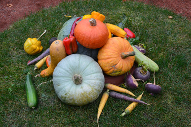 Similar image 21611244