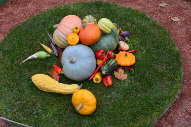 Similar image 21611245