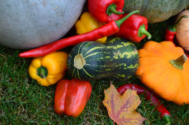 Similar image 21611246