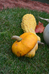 Similar image 21611247