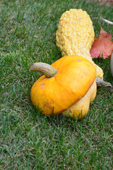 Similar image 21611248