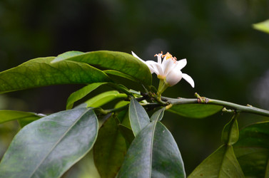 Similar image 21611249