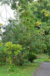 Similar image 21611252