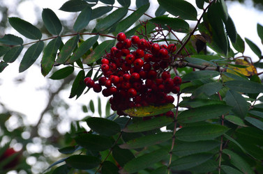 Similar image 21611253