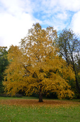 Similar image 21611257