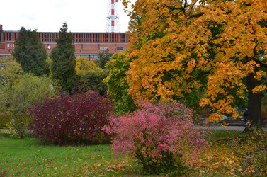 Similar image 21611258