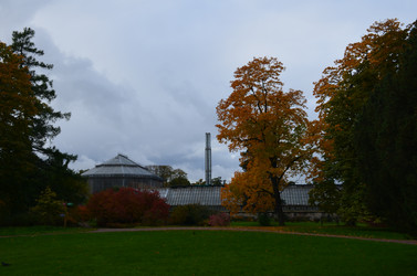 Similar image 21611259