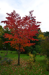 Similar image 21611261