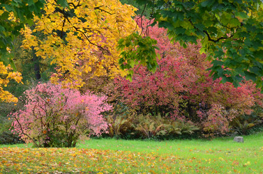 Similar image 21611262