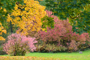 Similar image 21611263