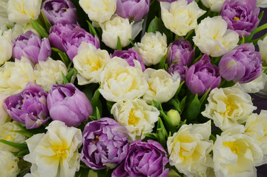 Similar image 21613492