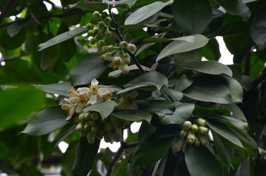 Similar image 21613493