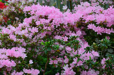 Similar image 21613494