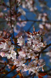 Similar image 21613501