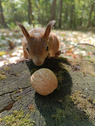 Similar image 21611264