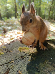 Similar image 21611265