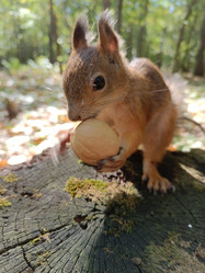 Similar image 21617479