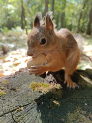 Similar image 21611350