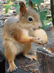 Similar image 21611266