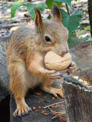 Similar image 21611267