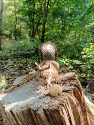 Similar image 21611972