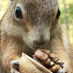 Similar image 21611268