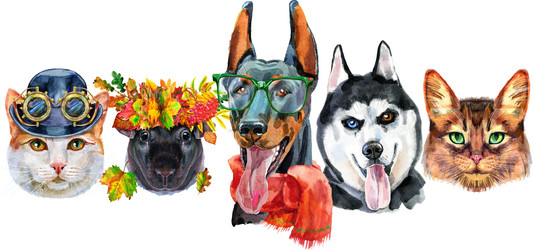 Similar image 21628289