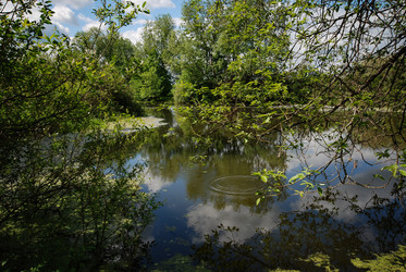 Similar image 21626528