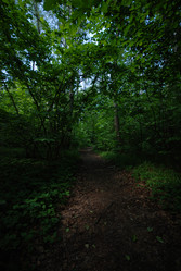 Similar image 21626529