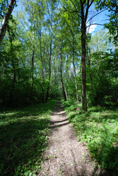 Similar image 21626530