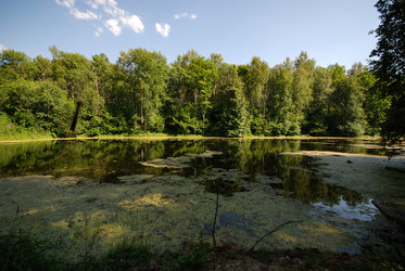 Similar image 21626533