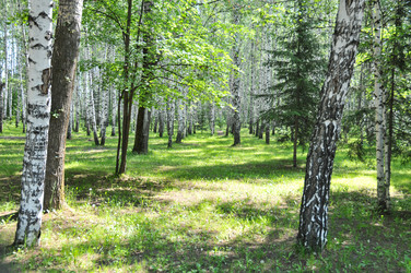 Similar image 21626535