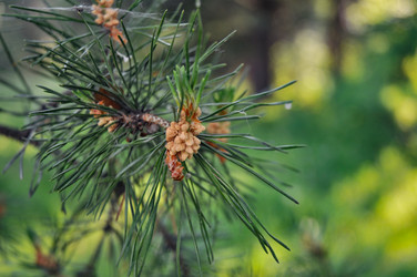 Similar image 21626536