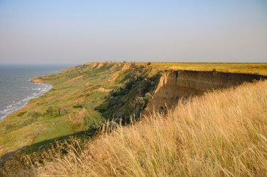 Similar image 21626541