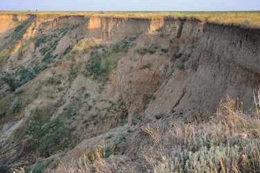 Similar image 21626543