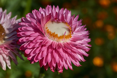 Similar image 21611351