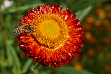 Similar image 21611289