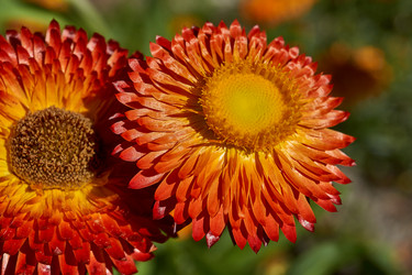 Similar image 21611352