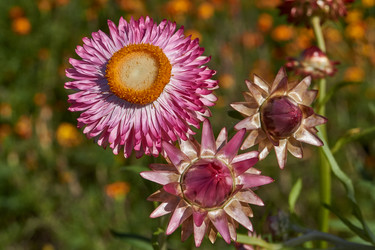 Similar image 21611290