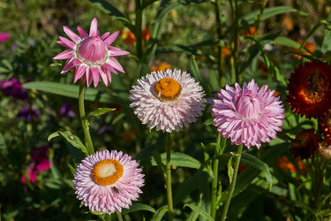 Similar image 21611291