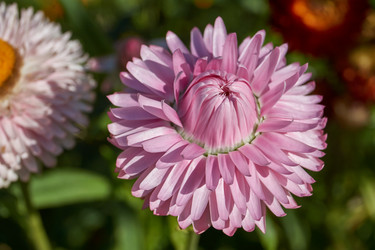 Similar image 21611354