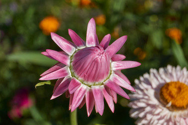 Similar image 21611973