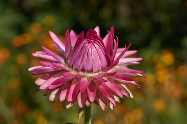 Similar image 21611292