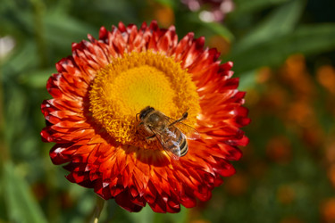 Similar image 21611355