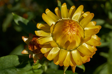 Similar image 21611974