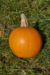 Similar image 21611975