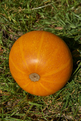 Similar image 21611356