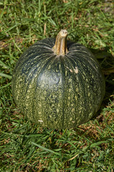 Similar image 21611977