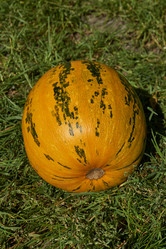 Similar image 21611357