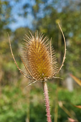 Similar image 21611978